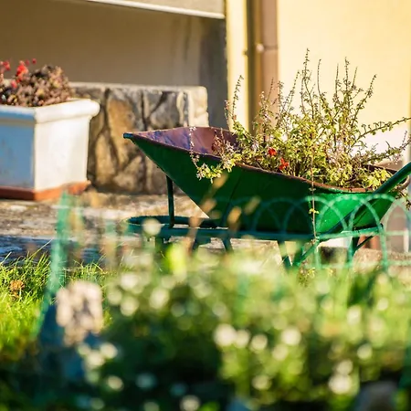 بيت ضيافة Franelli In Zagore - Istrien 3*