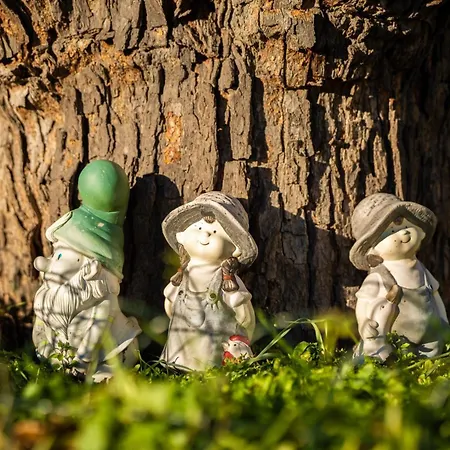 Gasthuis Franelli In Zagore - Istrien