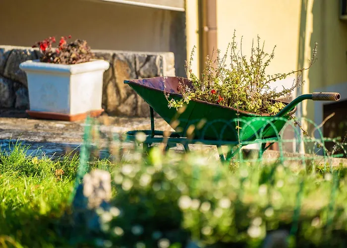 Guest house Franelli In Zagore - Istrien 3*